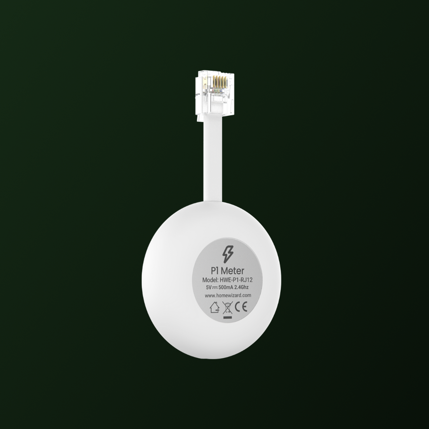 HomeWizard P1 meter